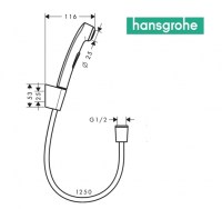 TELEDUCHA BIDE, SOPORTE y FLEXO HANSGROHE